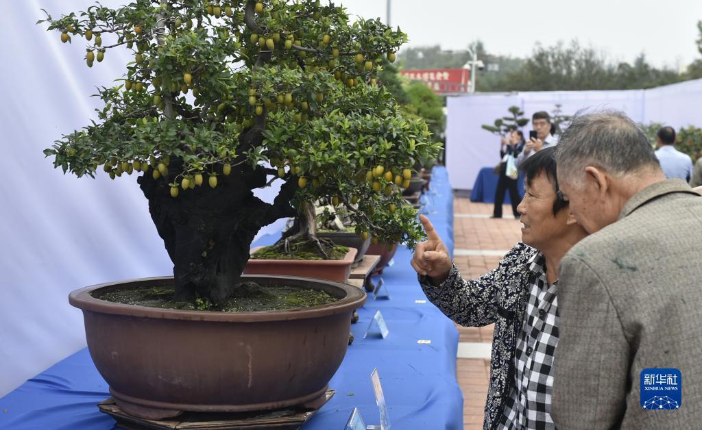 澳门威尼斯商人